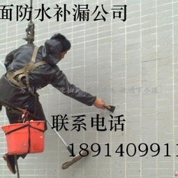 專業護航，安居無憂——蘇州房屋防水補漏維修服務指南